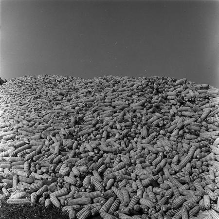 minerva_1967-1973_c4r2_032