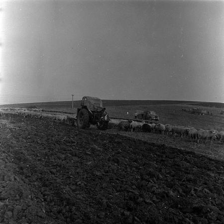 minerva_1967-1973_c4r2_037