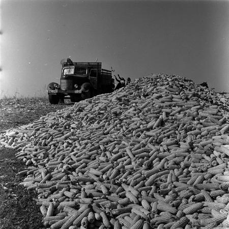 minerva_1967-1973_c4r2_041