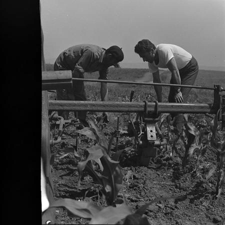 minerva_1967-1973_c4r3_001