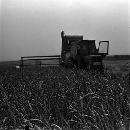 minerva_1967-1973_c4r6_006