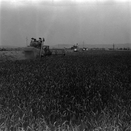 minerva_1967-1973_c4r6_008