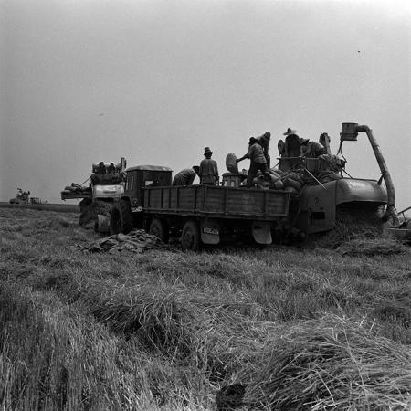 minerva_1967-1973_c4r6_018