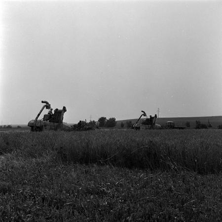 minerva_1967-1973_c4r7_004