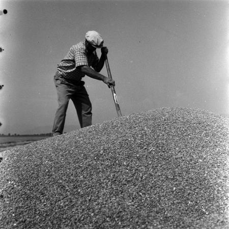 minerva_1967-1973_c4r8_009