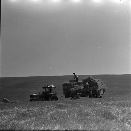 minerva_1967-1973_c4r8_012