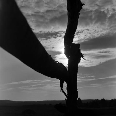 minerva_1967-1973_c5r10_008