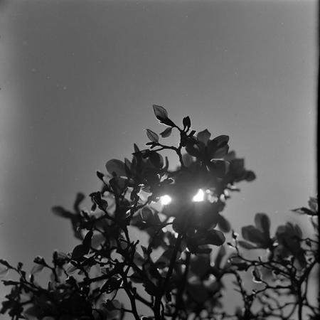 minerva_1967-1973_c5r11_001