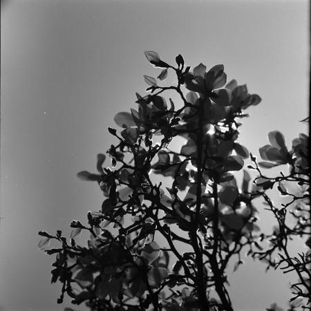 minerva_1967-1973_c5r11_003