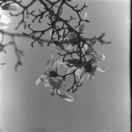 minerva_1967-1973_c5r11_006