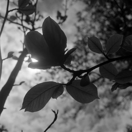 minerva_1967-1973_c5r11_008