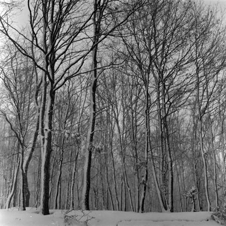 minerva_1967-1973_c5r14_001