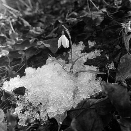 minerva_1967-1973_c5r14_003