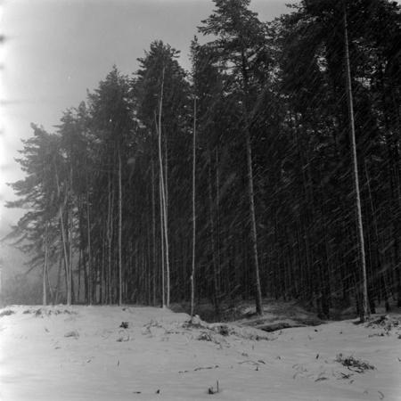 minerva_1967-1973_c5r14_010