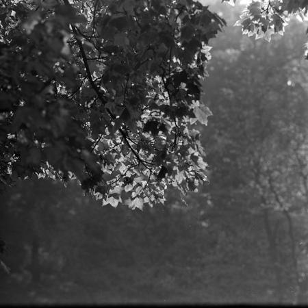 minerva_1967-1973_c5r16_006