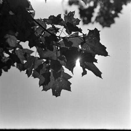 minerva_1967-1973_c5r16_009