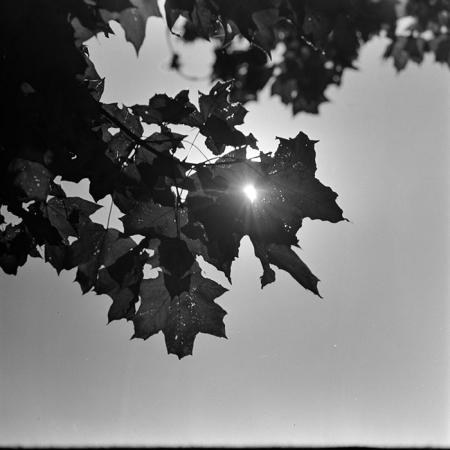 minerva_1967-1973_c5r16_010