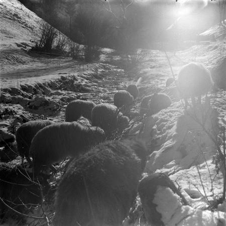 minerva_1967-1973_c5r17_012