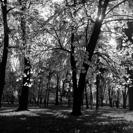 minerva_1967-1973_c5r1_001