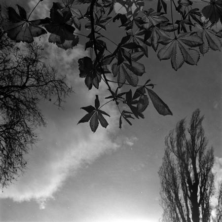 minerva_1967-1973_c5r1_010