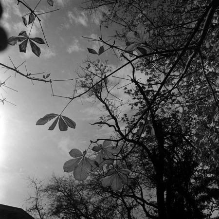 minerva_1967-1973_c5r1_014