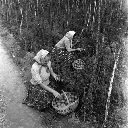 minerva_1967-1973_c5r21_001