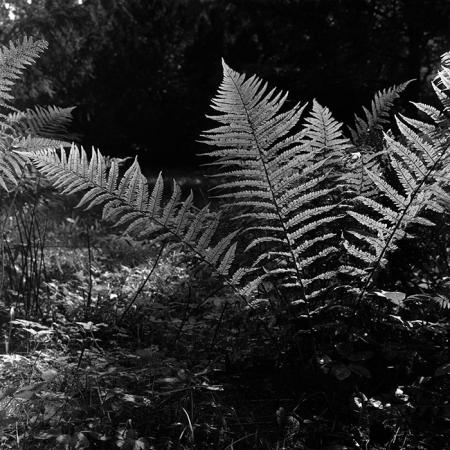 minerva_1967-1973_c5r2_007