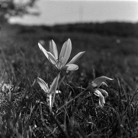 minerva_1967-1973_c5r2_009