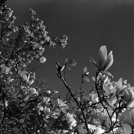 minerva_1967-1973_c5r3_001