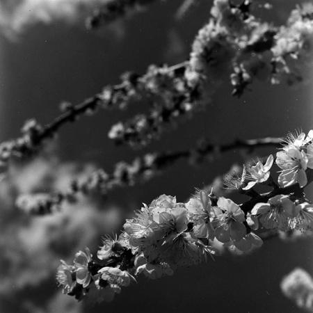 minerva_1967-1973_c5r3_006