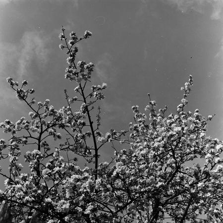 minerva_1967-1973_c5r3_007