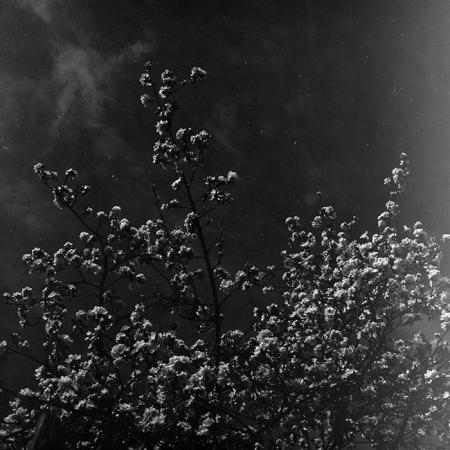 minerva_1967-1973_c5r3_008