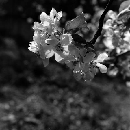 minerva_1967-1973_c5r3_010