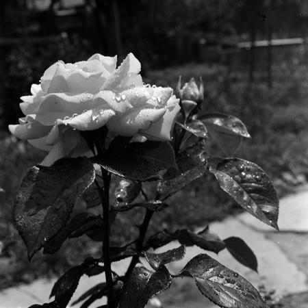 minerva_1967-1973_c5r3_014