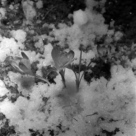 minerva_1967-1973_c5r6_006