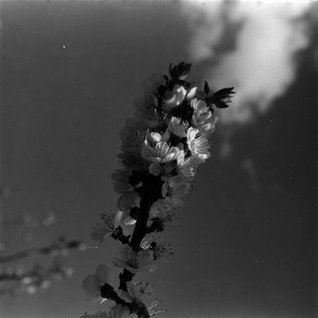 minerva_1967-1973_c5r6_007