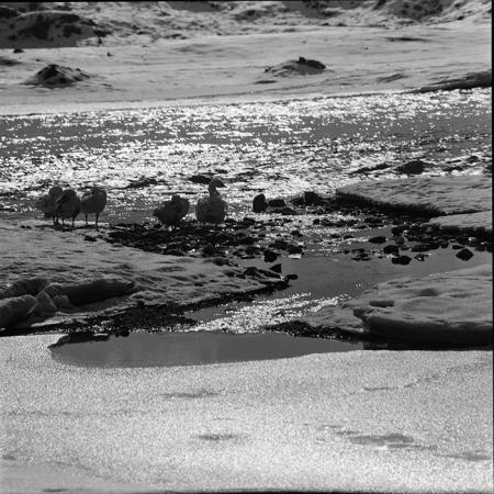 minerva_1967-1973_c5r8_004