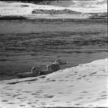 minerva_1967-1973_c5r8_005