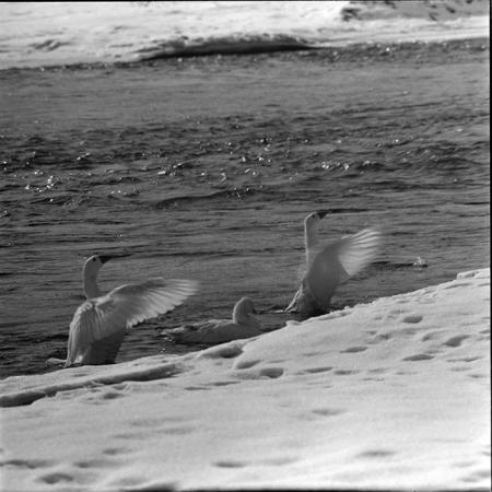 minerva_1967-1973_c5r8_006