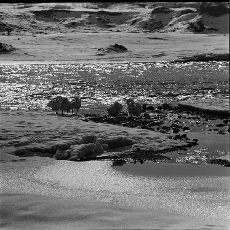 minerva_1967-1973_c5r8_009