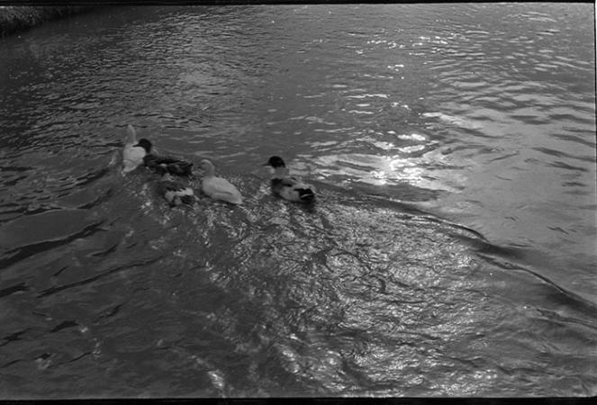 minerva_1967-1973_c5r9_008