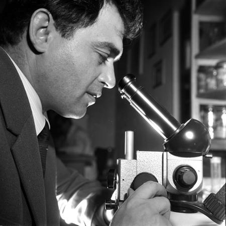 minerva_1967-1973_c6r19_003