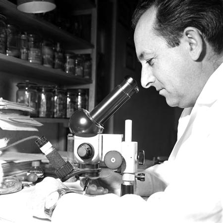 minerva_1967-1973_c6r19_004