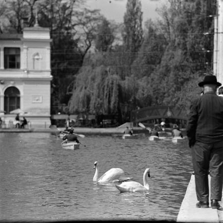 minerva_1967-1973_c6r4_009