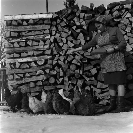 minerva_1967-1973_c7r1_031