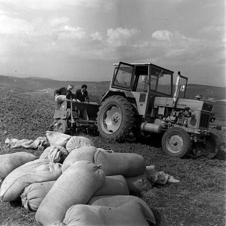 minerva_1970_Agrare_c1_c10r1_007