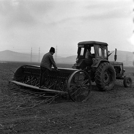 minerva_1970_Agrare_c1_c10r1_026