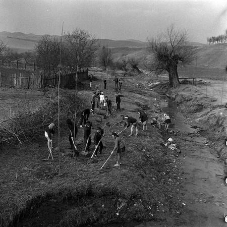 minerva_1970_Agrare_c1_c10r1_035