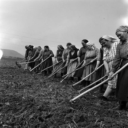 minerva_1970_Agrare_c1_c1r1_013