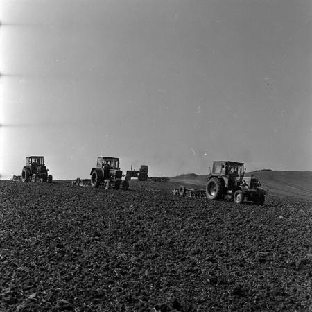 minerva_1970_Agrare_c1_c2r1_009